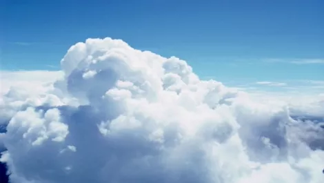 Microsoft appoints sales manager for cloud