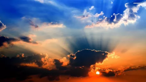 NewLease: Virtualisation is interesting, your business is essential