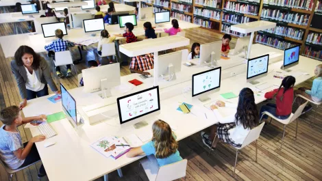 Online competitions grow Great Kiwi learners
