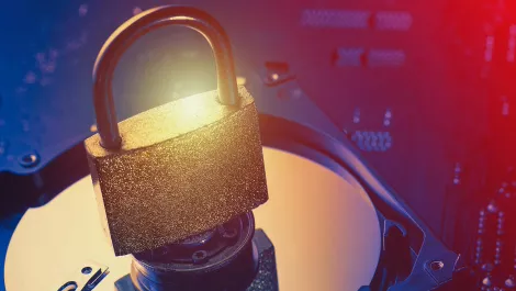 WhiteHawk hires top cyber talent to develop online security marketplace