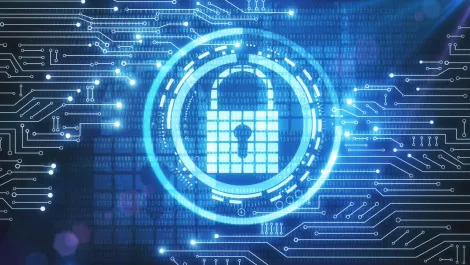 42% more plaintext HTTP servers than HTTPS counterparts - report